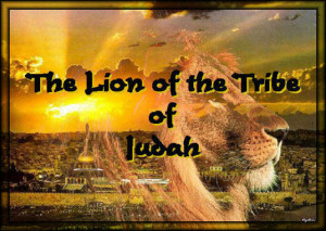 lion_of_judah_10