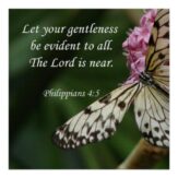Gentleness – A Daily Work, Part 3
