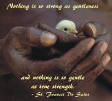 Gentleness – A Daily Work, Part 4
